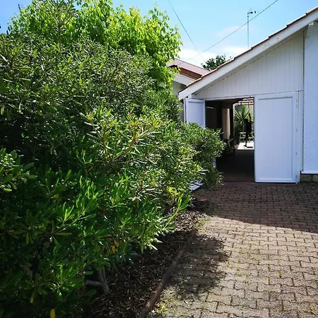 Holiday home La Maison Du Mauret Andernos-les-Bains